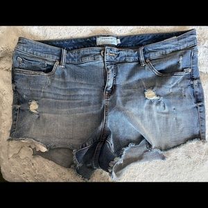 Torrid | Denim Jean Shorts | Plus Size | Size 22
